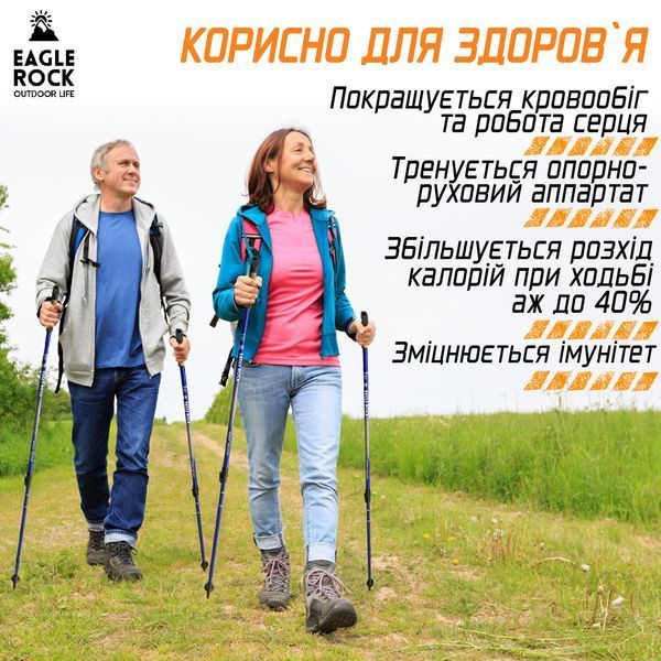 Палки для Скандинавской ходьбы EagleRock Нордические палки (цвет синий) скандинавские палки телескопические SK40015blue фото