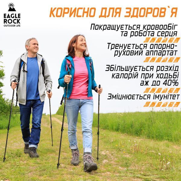 Палиці для Скандинавської Ходьби Карбонові EagleRock Ультра Легкі Скандинавькі Палки Карбон 3D 100% SK40015CARBON фото