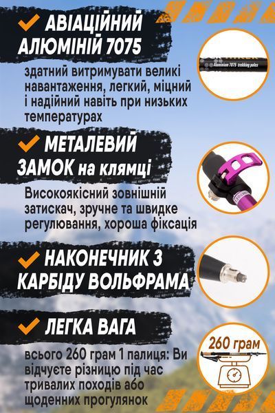 Туристичні палиці Eagle Rock (фіолетові) Трекінгові палиці для ходьби хайкінгу трекінгу телескопічні TREK0311fiolet фото