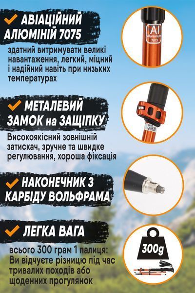Туристичні палиці 5 секційні для трекінгу Eagle Rock фіолетові похідні для гір, для зими folding3918Fiolet фото
